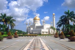Category image